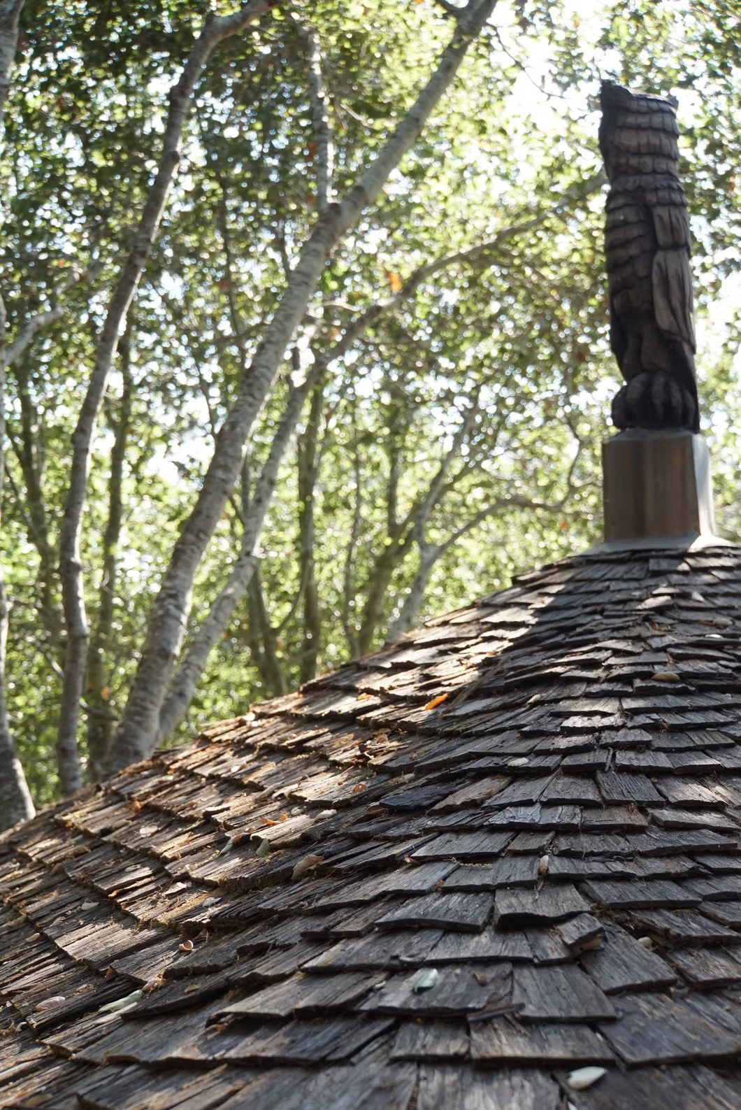 Wood shingle roof topped with a carved owl